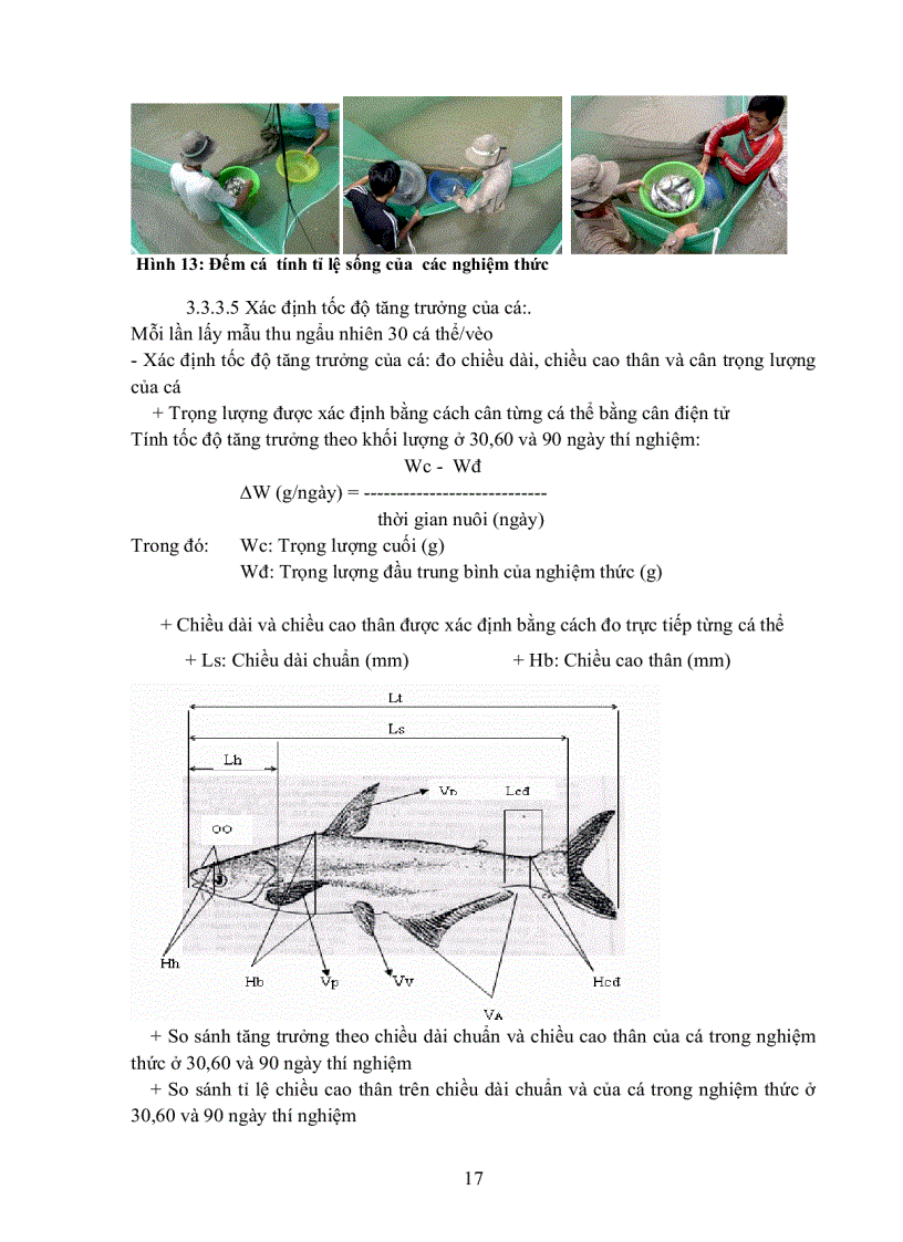 image for page Khảo sát ảnh hưởng nồng độ phối trộn Cu2 OH 3Cl trong thức ăn đến tỉ lệ sống tốc độ tăng trưởng và sự tích lũy Vitamin E Cu trong thịt fillet và gan của cá tra Pangasius hypophthalmus