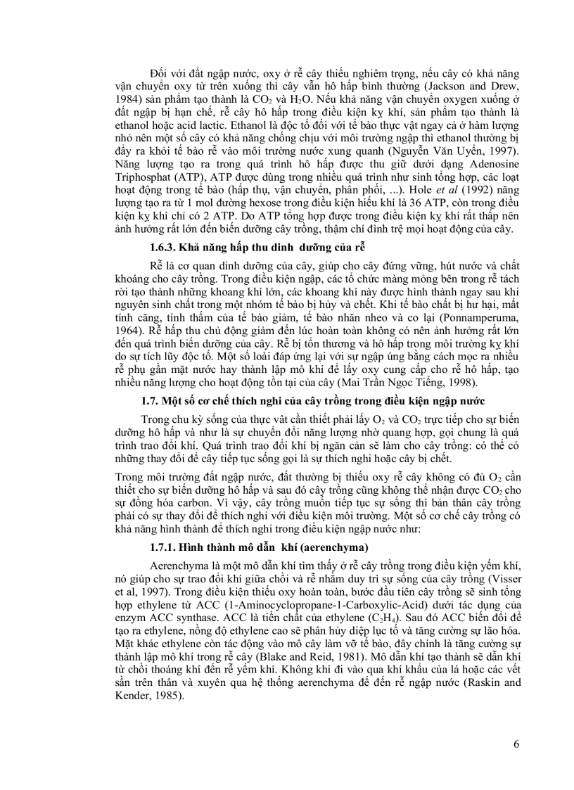 image for page Khảo sát khả năng chịu ngập sinh trưởng năng suất và dinh dưỡng của cỏ Paspalum atratum