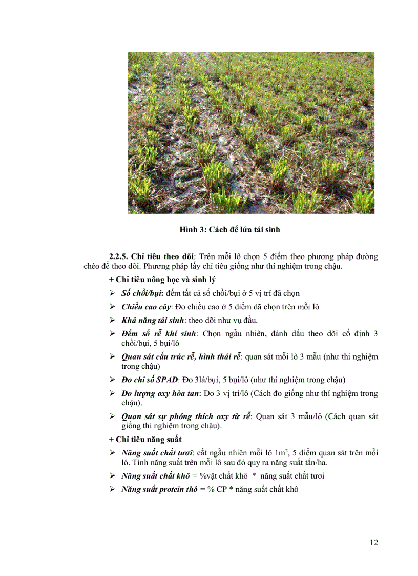 image for page Khảo sát khả năng chịu ngập sinh trưởng năng suất và dinh dưỡng của cỏ Paspalum atratum