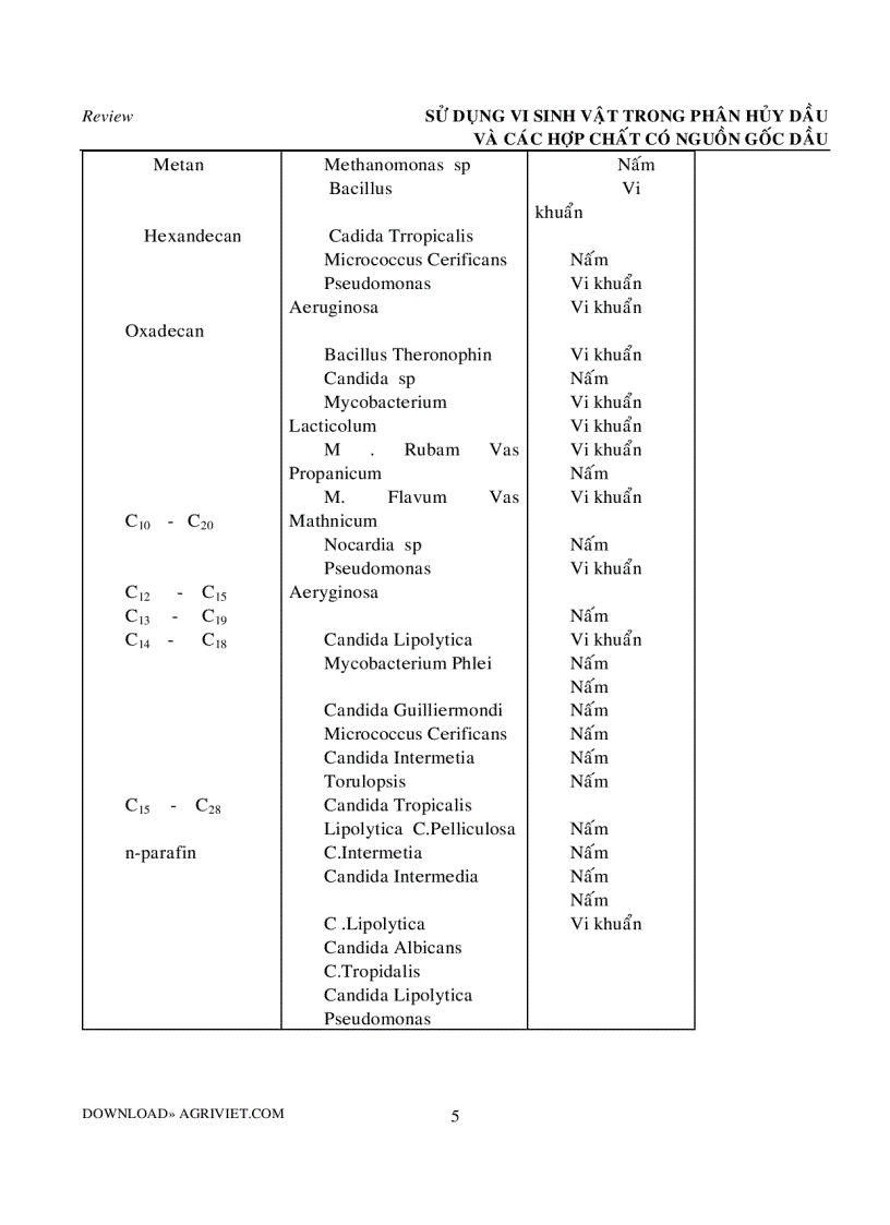 image for page Vi sinh vật xử lý dầu trong nước