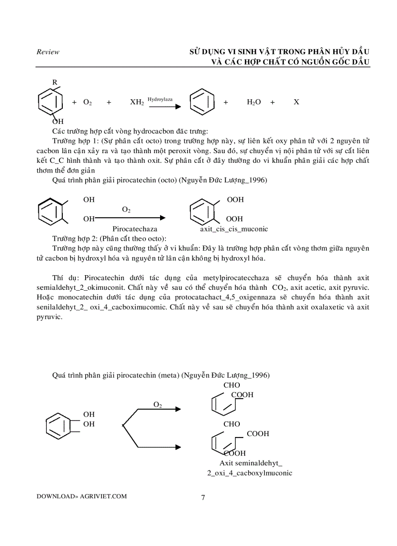 image for page Vi sinh vật xử lý dầu trong nước