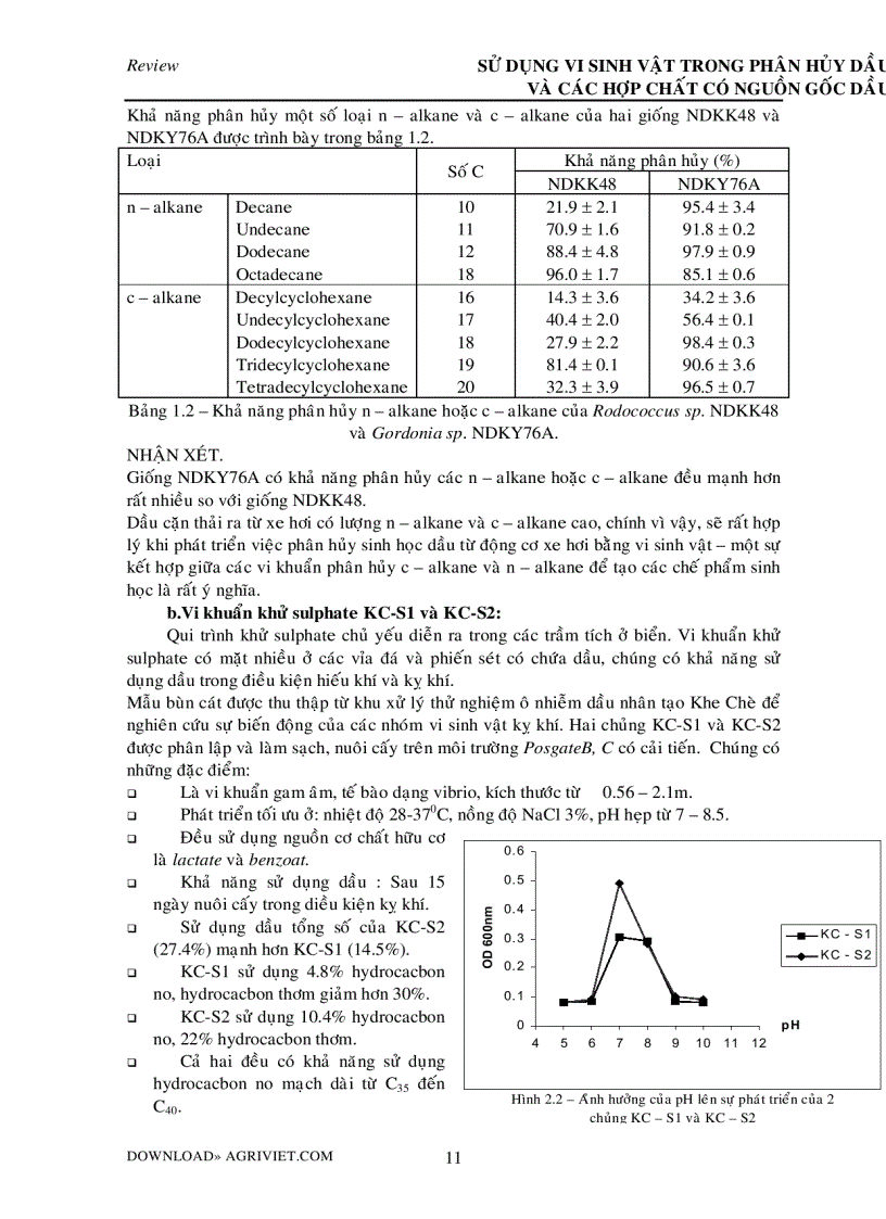 image for page Vi sinh vật xử lý dầu trong nước