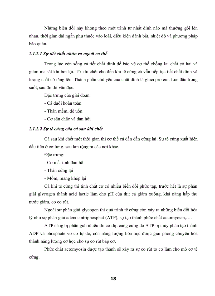 image for page Khảo Sát Hệ Thống Quản Lý Chất Lượng Theo HACCP Cho Mặt Hàng Cá Basa Fillet Đông Lạnh Của Công Ty AGIFISH Xí Nghiệp Đông Lạnh 8