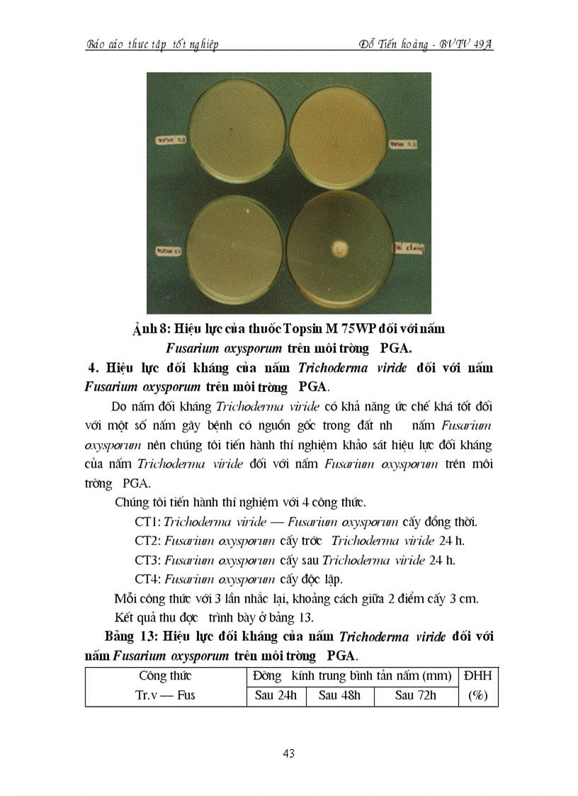 image for page Nghiên cứu bệnh héo vàng Fusarium oxysporum hại một số cây trồng cạn vụ hè thu năm 2007 tại vùng Gia Lâm Hà Nội và thử nghiệm chế phẩm sinh học phòng trừ bệnh