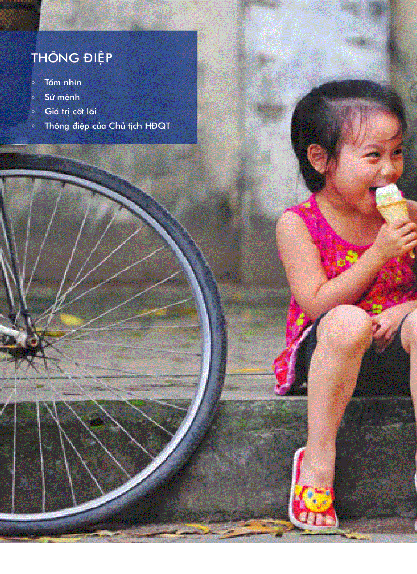 image for page Báo cáo tài chính của công ty Vinamilk năm 2009