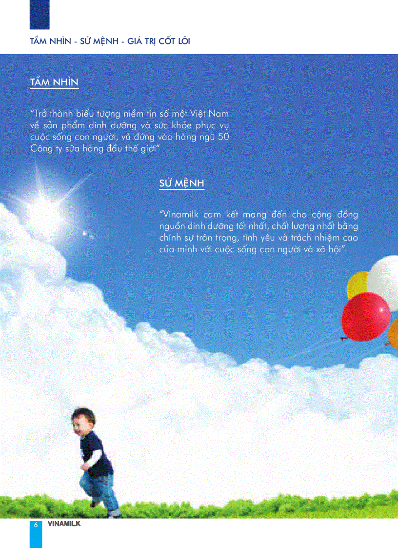 image for page Báo cáo tài chính của công ty Vinamilk năm 2009