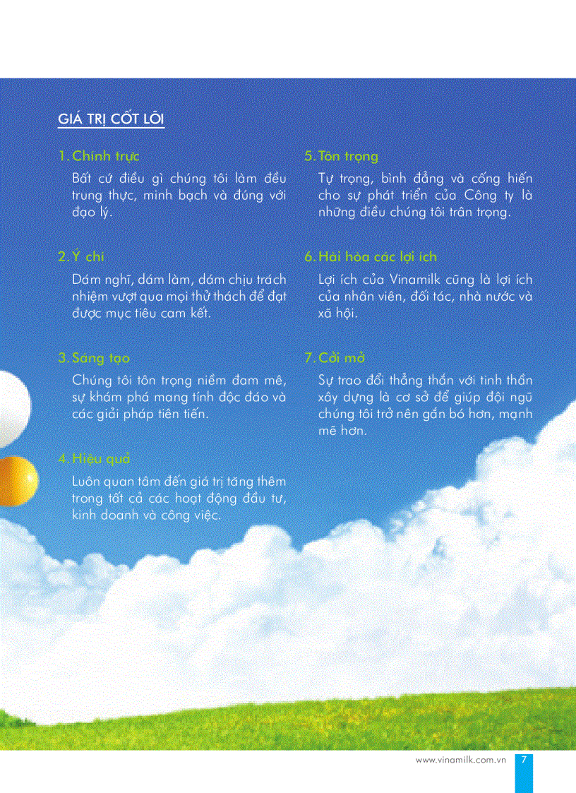 image for page Báo cáo tài chính của công ty Vinamilk năm 2009