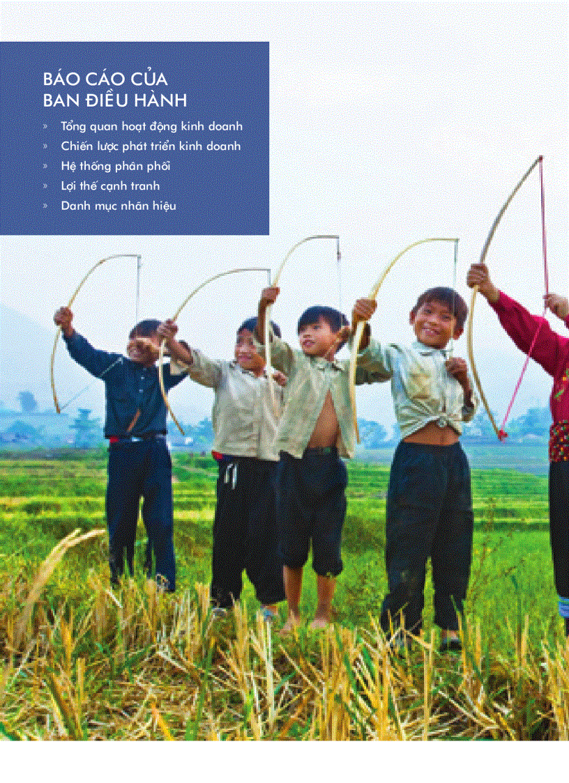 image for page Báo cáo tài chính của công ty Vinamilk năm 2009