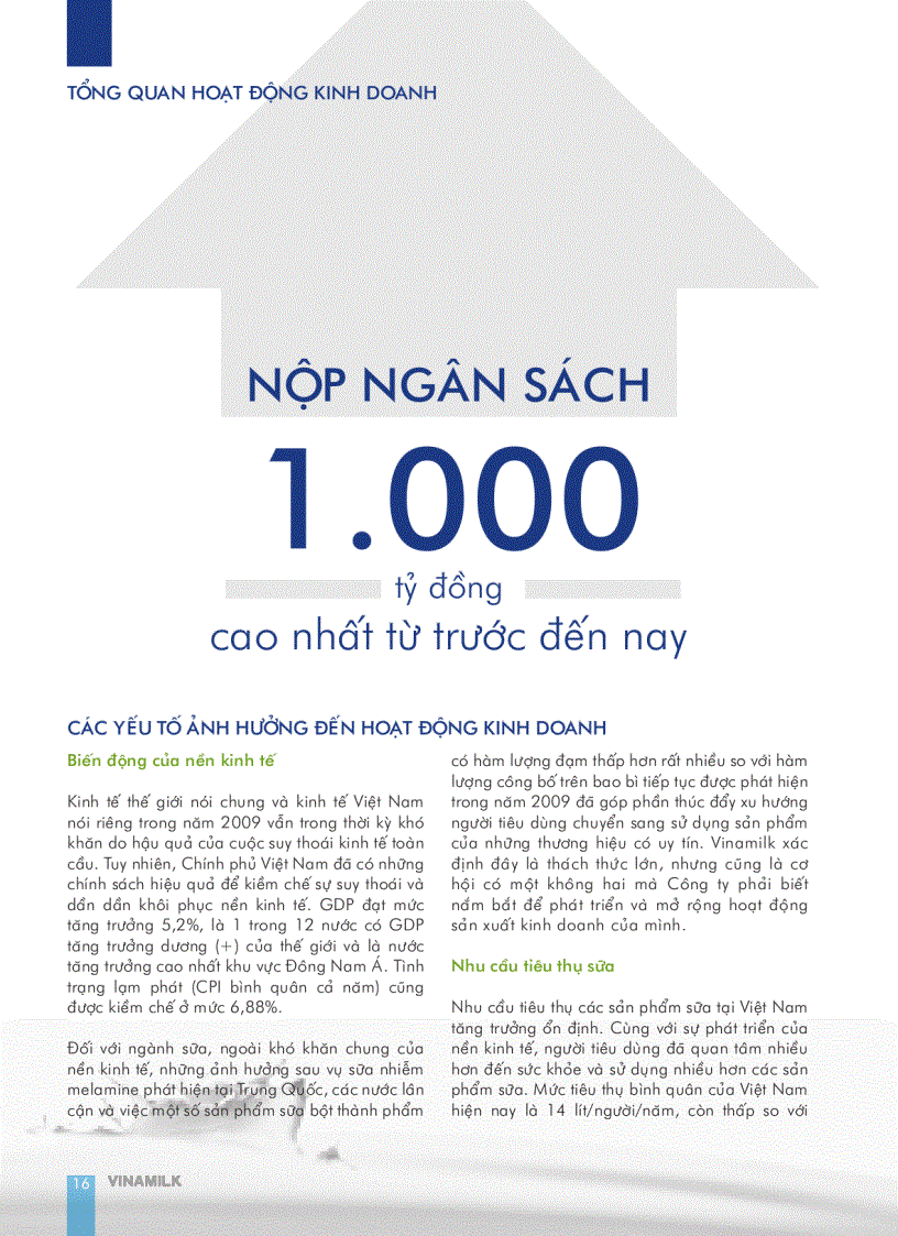 image for page Báo cáo tài chính của công ty Vinamilk năm 2009