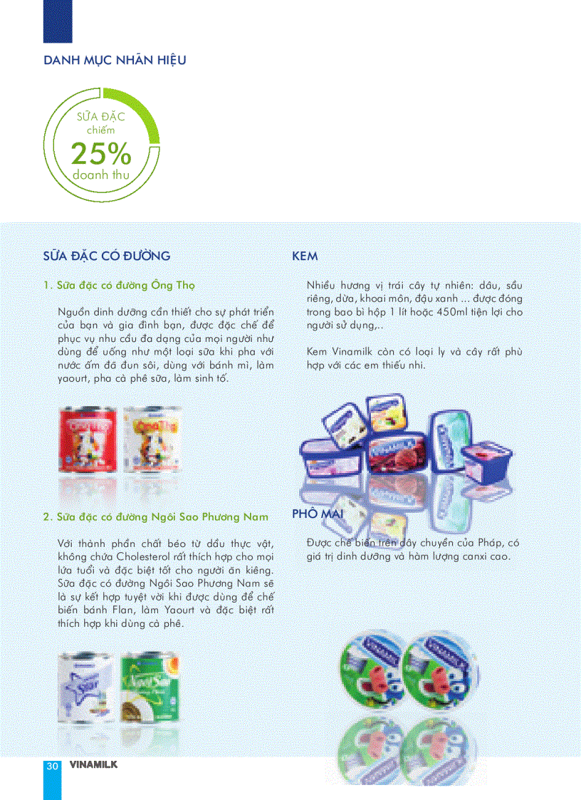 image for page Báo cáo tài chính của công ty Vinamilk năm 2009