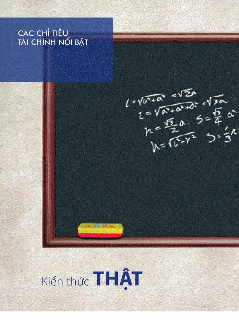 image for page Báo cáo tài chính của công ty Vinamilk năm 2009