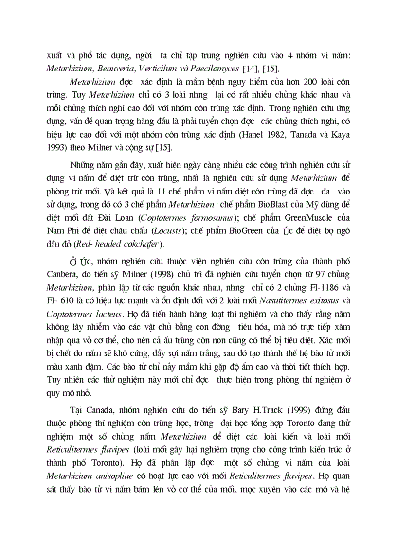 image for page Nghiên cứu quy trình lên men kết hợp để sản xuất bào tử nấm Metarhizium và khả năng diệt mối của bào tử nấm qua lây nhiễm