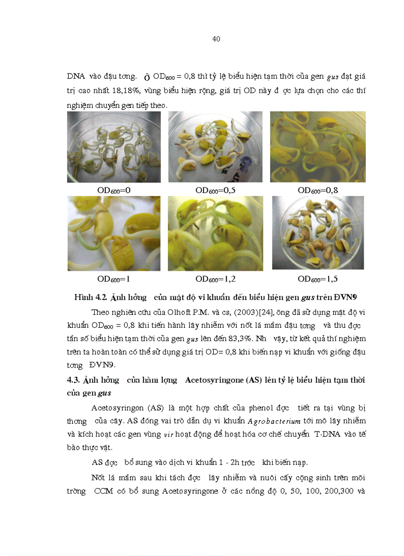 image for page Chuyển gen chịu hạn ở đậu tương