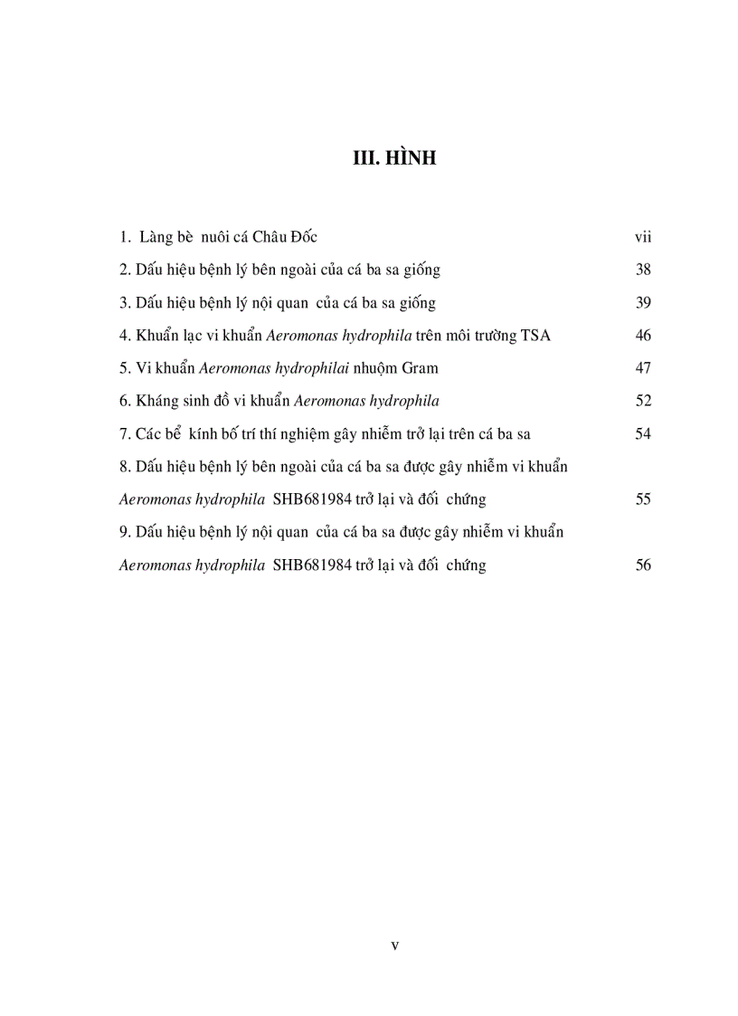 image for page Nghiên Cứu Bệnh Xuất Huyết Trên Vi Xoang Miệng Cá Basa Pangasius Bocourti Nuôi Bè Tại An Giang
