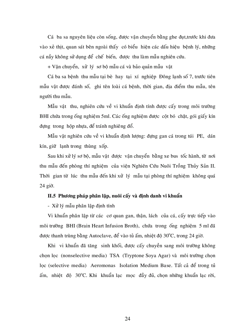 image for page Nghiên Cứu Bệnh Xuất Huyết Trên Vi Xoang Miệng Cá Basa Pangasius Bocourti Nuôi Bè Tại An Giang