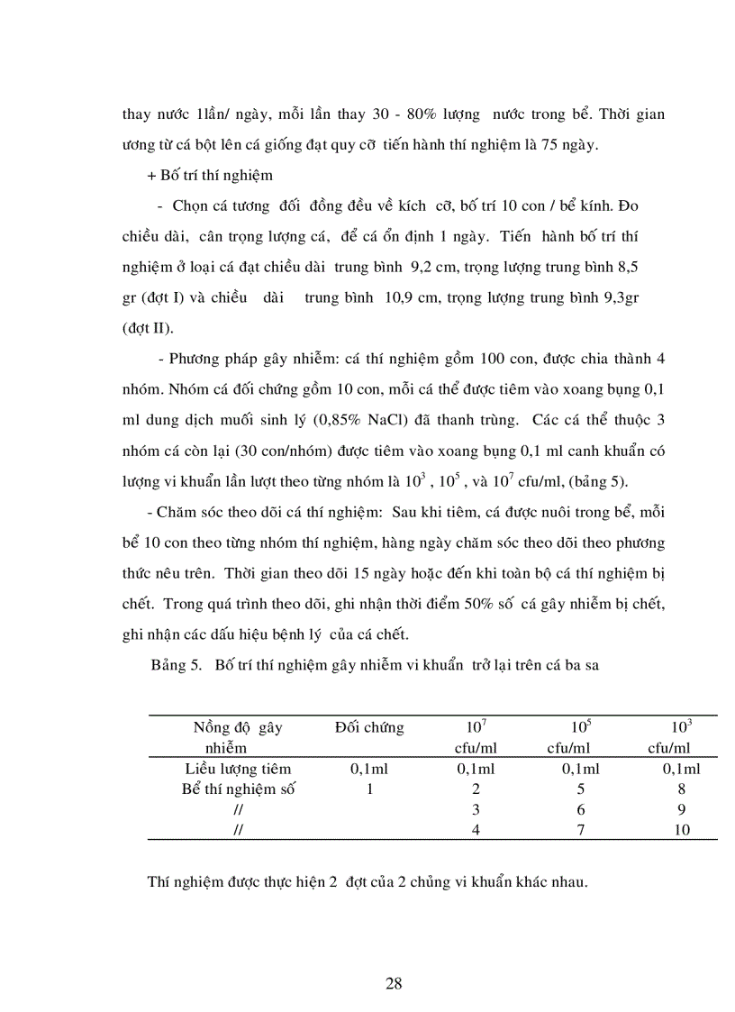 image for page Nghiên Cứu Bệnh Xuất Huyết Trên Vi Xoang Miệng Cá Basa Pangasius Bocourti Nuôi Bè Tại An Giang