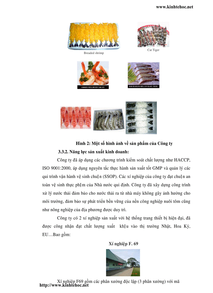 image for page Phân tích hiệu quả hoạt động kinh doanh Công ty cổ phần thủy sản Minh Hải