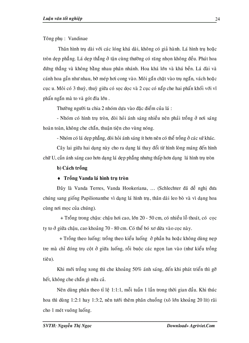 image for page Tìm hiểu ảnh hưởng của một số yếu tố môi trường lên sự tạo protocorm và sự sinh trưởng phát triển của Vanda in vitro