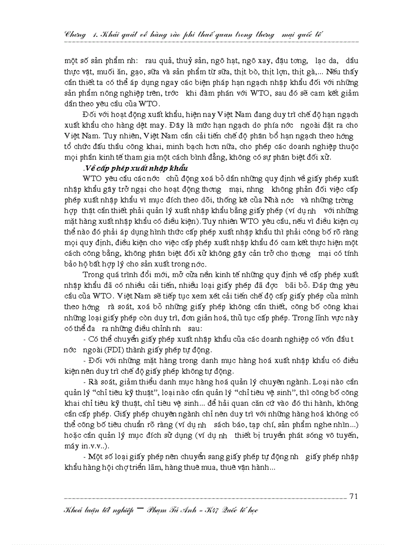 image for page Hoàn thiện hệ thống biện pháp bảo hộ phi thuế của Việt Nam trong tiến trình gia nhập WTO