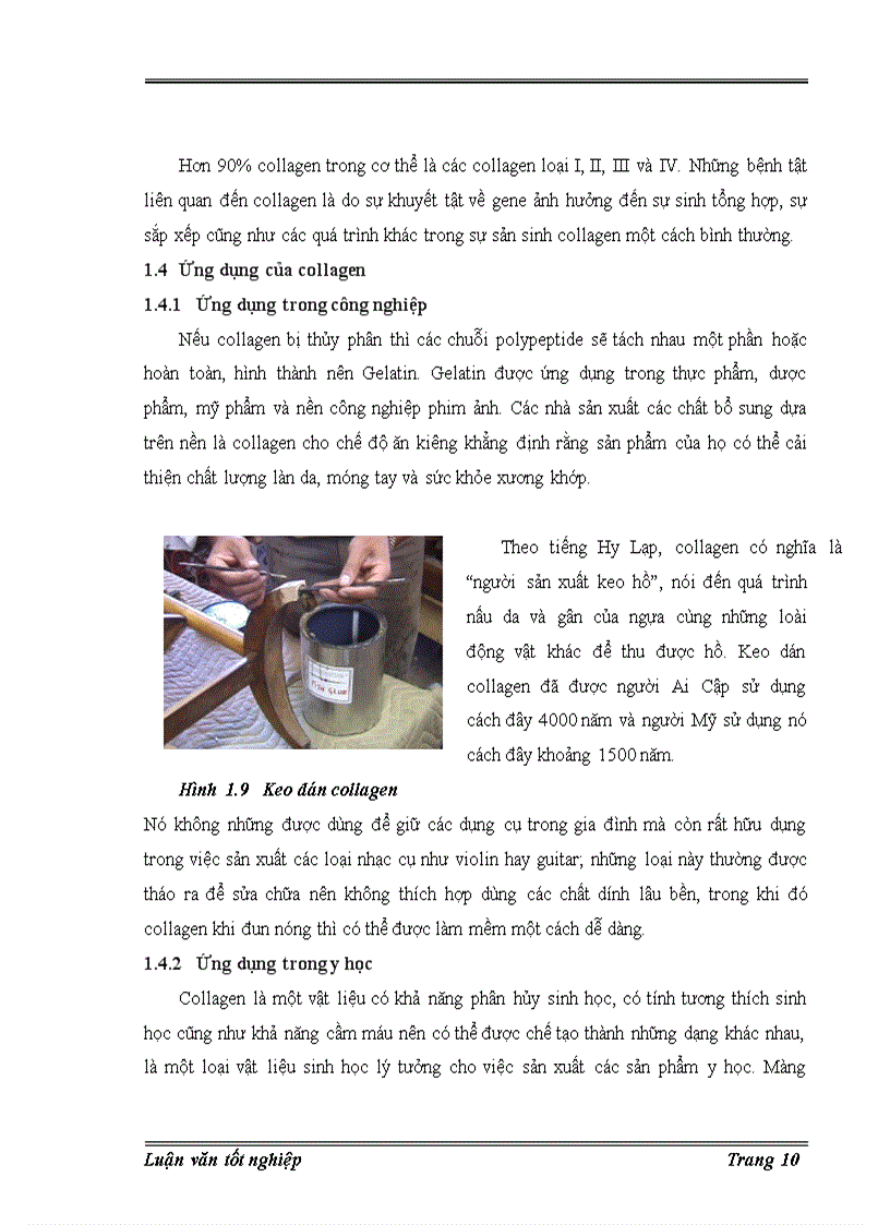 image for page Trích ly collagen từ da cá basa