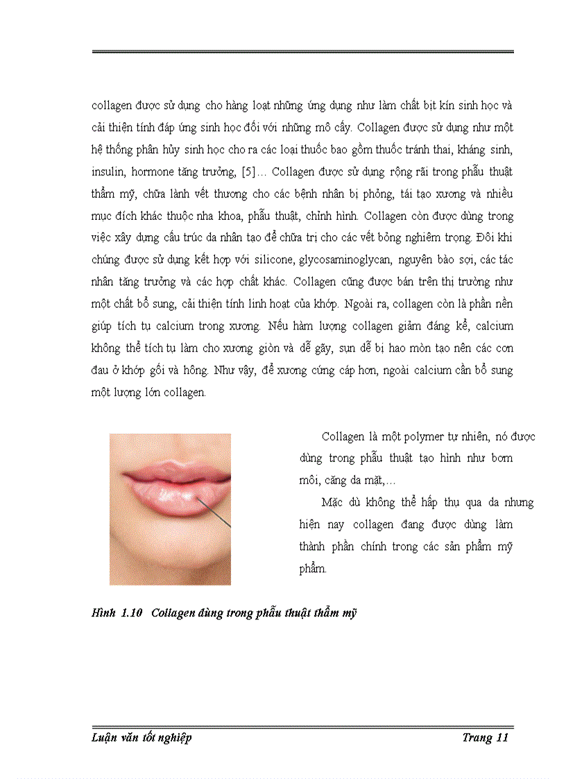 image for page Trích ly collagen từ da cá basa