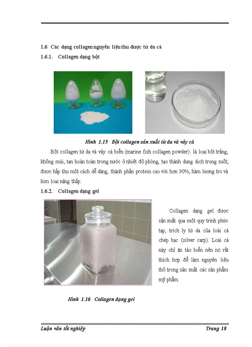 image for page Trích ly collagen từ da cá basa