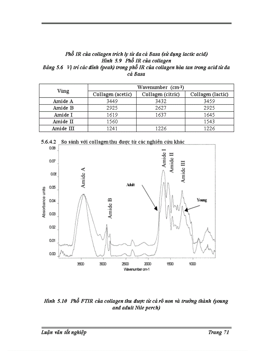 image for page Trích ly collagen từ da cá basa