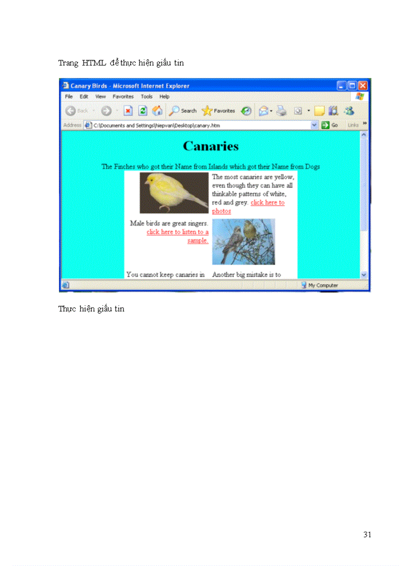 image for page Kỹ thuật giấu tin trong văn bản