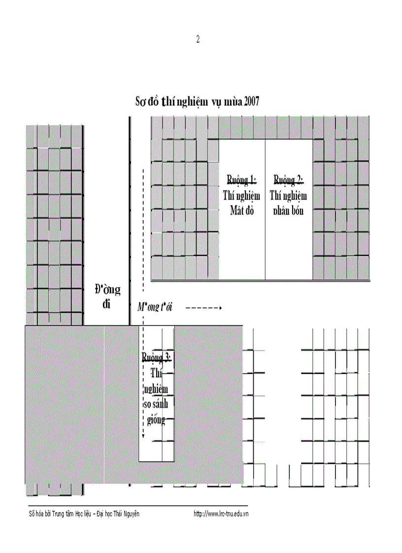 image for page Nghiên cứu đặc điểm sinh trưởng phát triển của m ột số dòng lúa thuần và ảnh hưởng của m ột số biện pháp kỹ thuật đến năng suất dòng lúa CL02 tại tỉnh Vĩnh Phúc