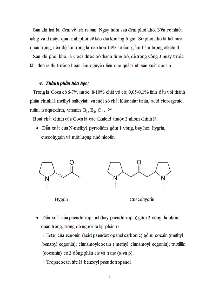image for page Tổng quan tài liệu về cây Coca Erythroxylum coca Lamb