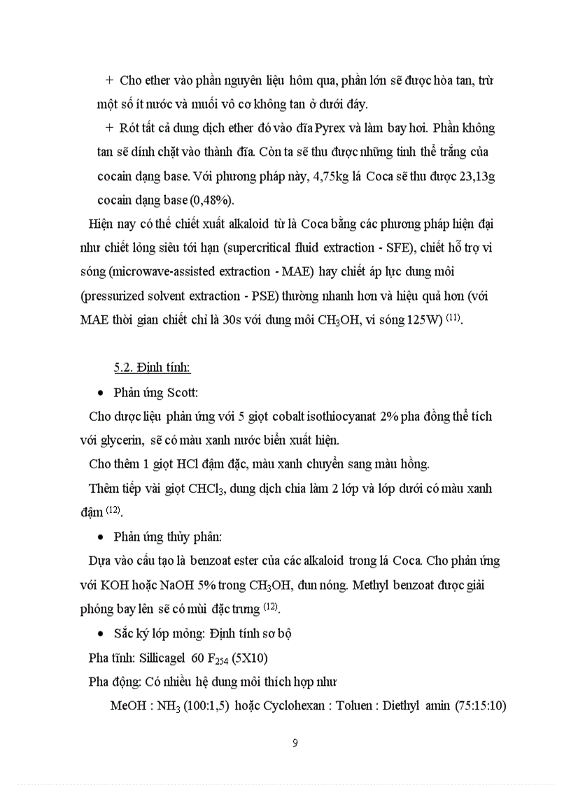 image for page Tổng quan tài liệu về cây Coca Erythroxylum coca Lamb