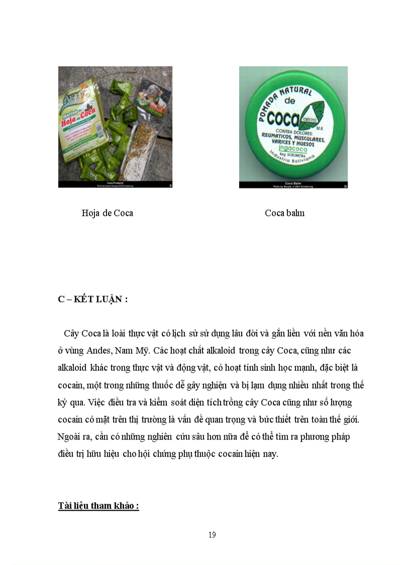 image for page Tổng quan tài liệu về cây Coca Erythroxylum coca Lamb