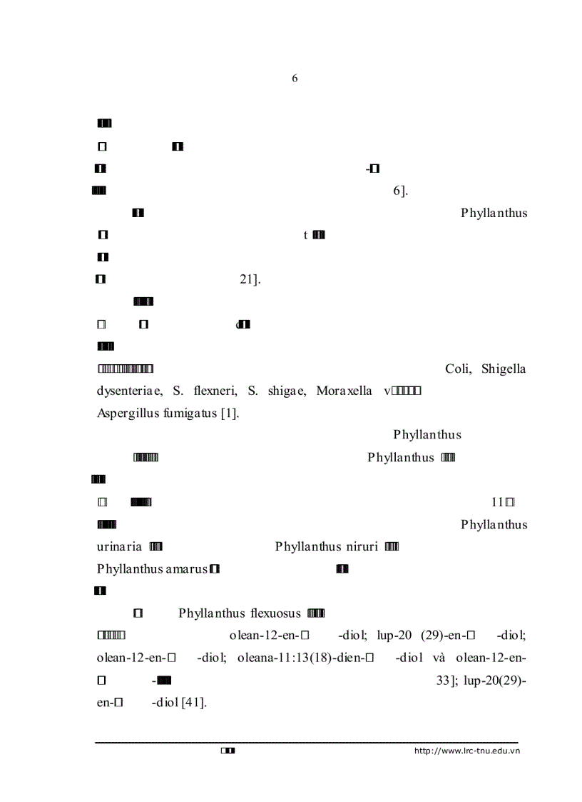 image for page Nghiên cứu hóa học và nhận dạng một số nhóm chất có trong cây chó đẻ răng cưa Phyllanthus urinaria L Euphorbiaceae