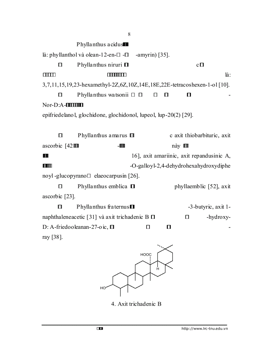image for page Nghiên cứu hóa học và nhận dạng một số nhóm chất có trong cây chó đẻ răng cưa Phyllanthus urinaria L Euphorbiaceae