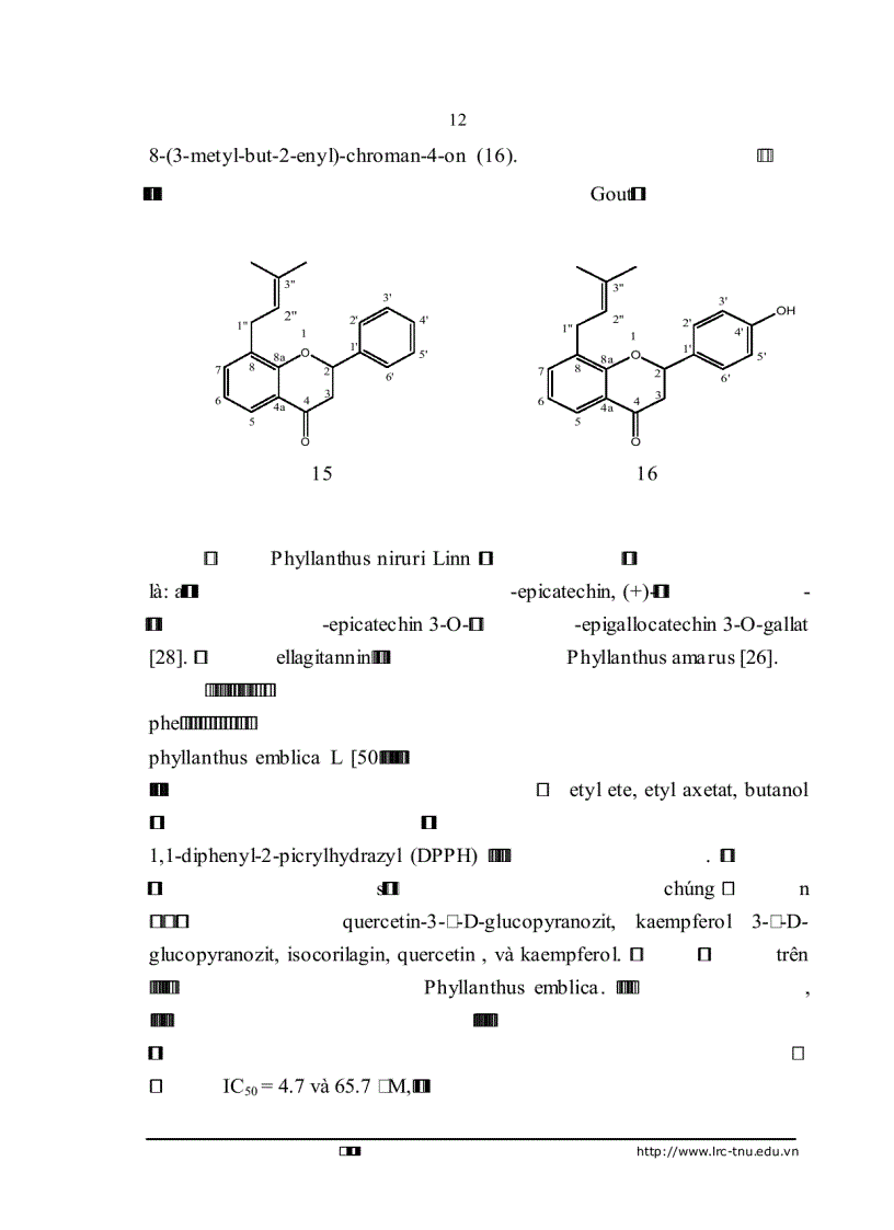 image for page Nghiên cứu hóa học và nhận dạng một số nhóm chất có trong cây chó đẻ răng cưa Phyllanthus urinaria L Euphorbiaceae