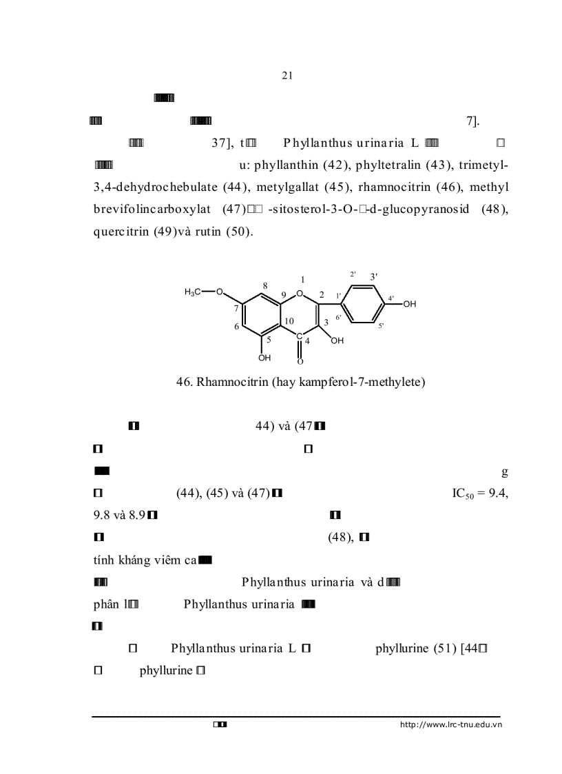 image for page Nghiên cứu hóa học và nhận dạng một số nhóm chất có trong cây chó đẻ răng cưa Phyllanthus urinaria L Euphorbiaceae