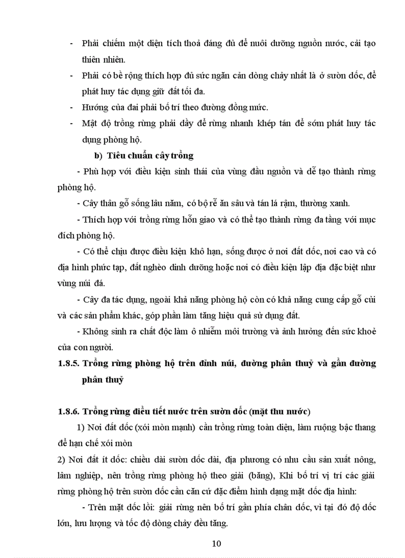 image for page Trồng rừng phòng hộ