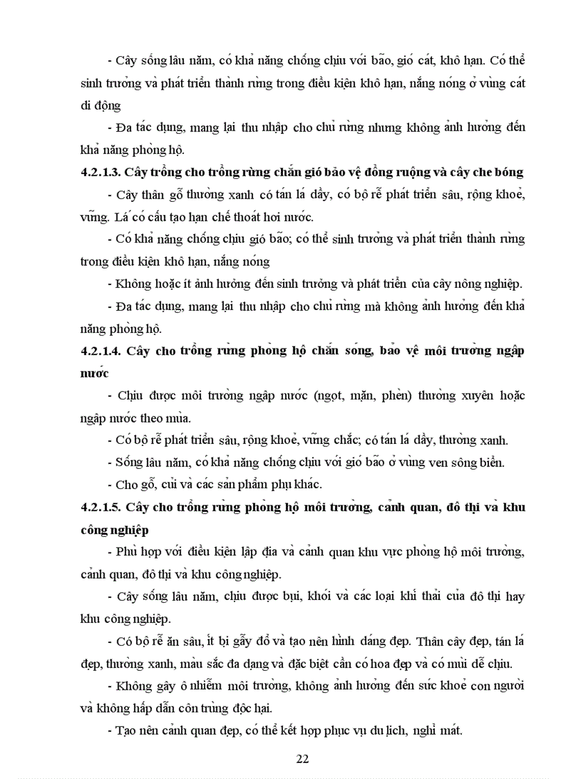 image for page Trồng rừng phòng hộ
