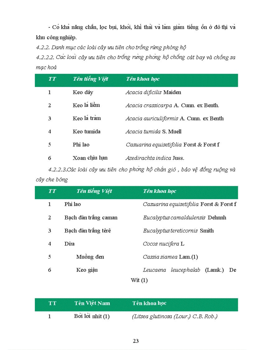 image for page Trồng rừng phòng hộ