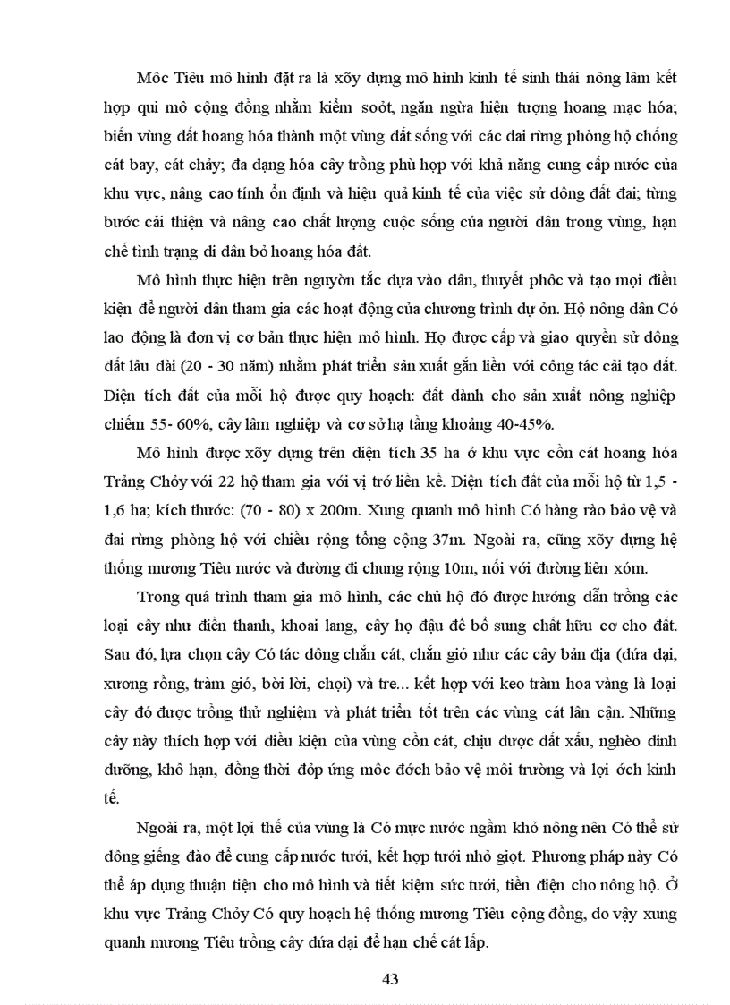 image for page Trồng rừng phòng hộ