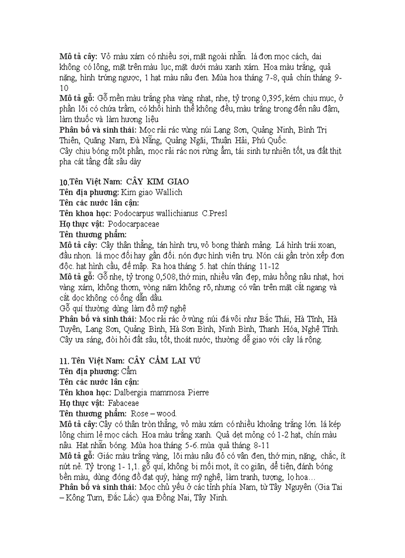 image for page Cây gỗ trong kinh doanh