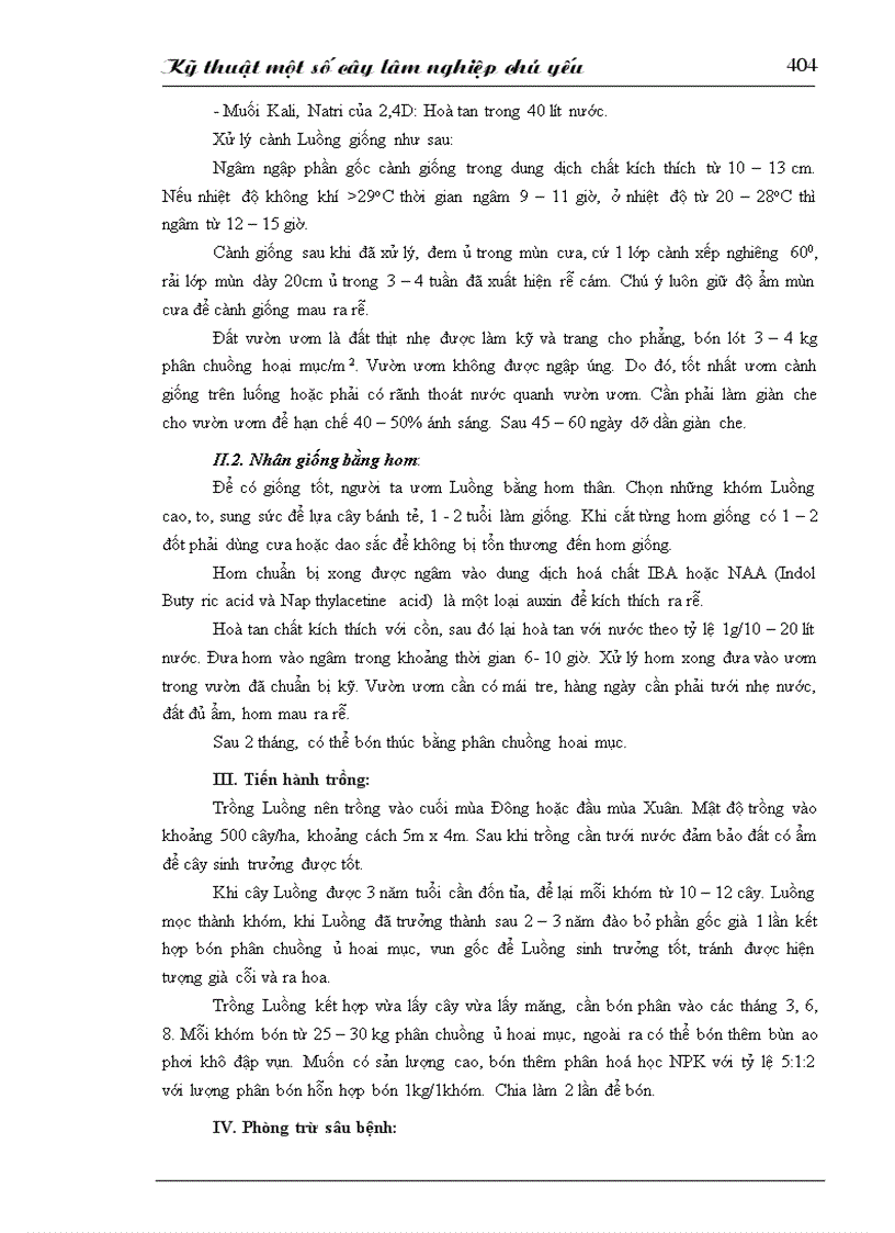 image for page Kỹ thuật trồng 1 số cây lâm nghiệp chủ yếu