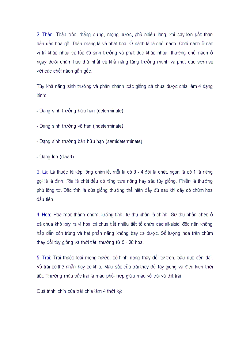 image for page Kỹ thuật trồng cây cà chua