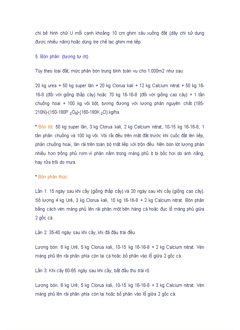 image for page Kỹ thuật trồng cây cà chua