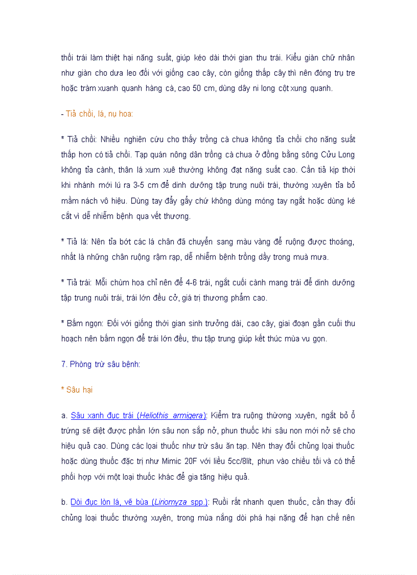 image for page Kỹ thuật trồng cây cà chua