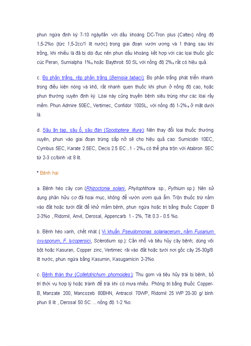 image for page Kỹ thuật trồng cây cà chua