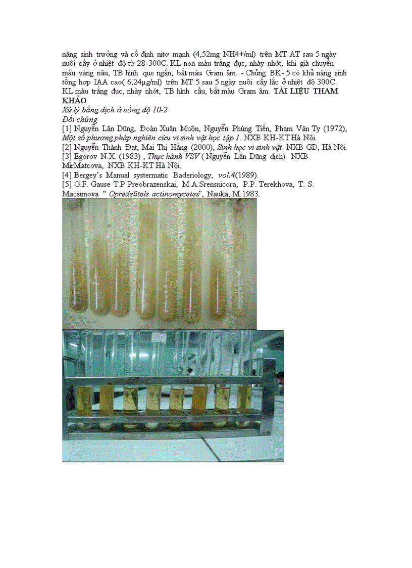 image for page Báo cáo Phân lập và tuyển chọn một số chủng VK Azotobacter có hoạt tính Nitrogenaza