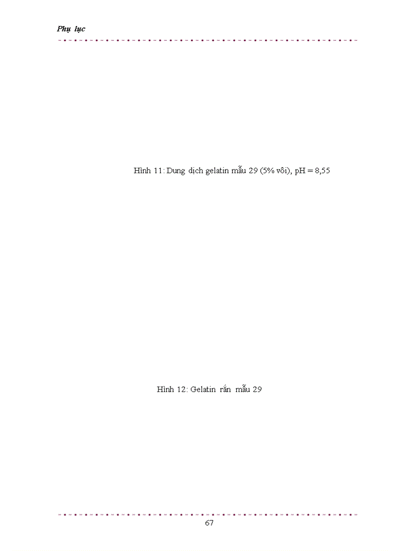 image for page Nghiên cứu khả năng thu hồi gelatin từ da phế thải và khả năng áp dụng công nghệ này ở Việt Nam