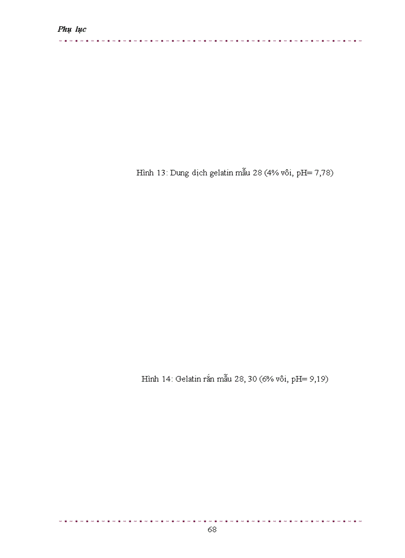 image for page Nghiên cứu khả năng thu hồi gelatin từ da phế thải và khả năng áp dụng công nghệ này ở Việt Nam