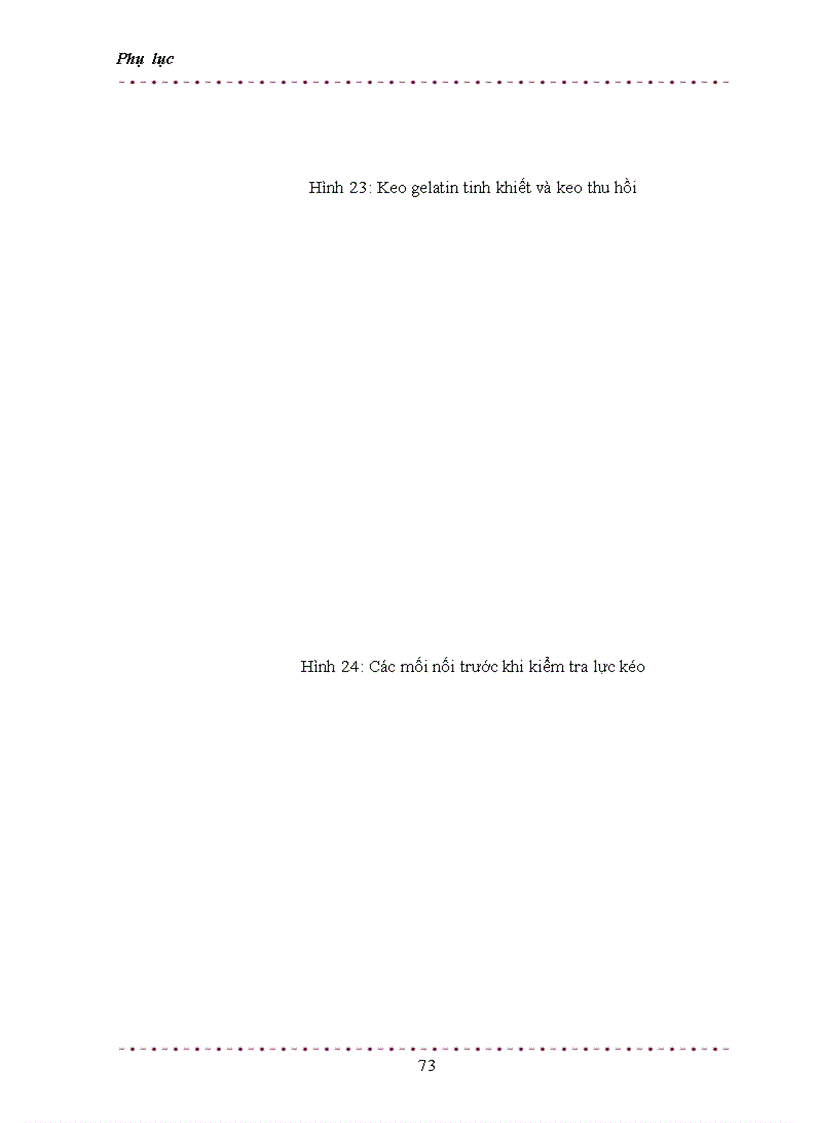 image for page Nghiên cứu khả năng thu hồi gelatin từ da phế thải và khả năng áp dụng công nghệ này ở Việt Nam